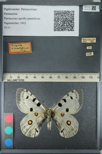 Media type: image;   Entomology 175138